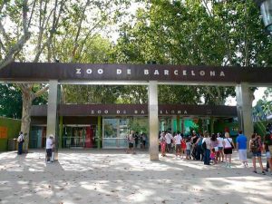 Côtoyer les animaux de Barcelone