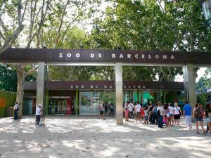 Côtoyer les animaux de Barcelone