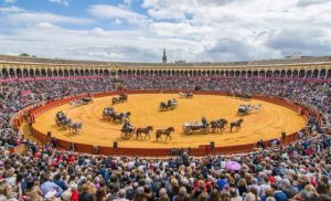 Real Maestranza de Caballeria Visiter les arènes d’Espagne Séville