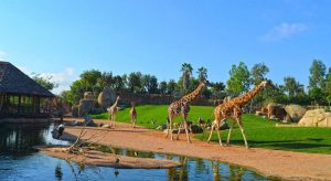 Visiter le Bioparc de Valence