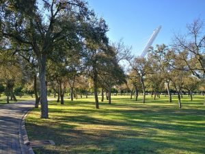 Faire un tour au parc de l’Alamillo