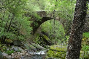 Le contact avec la nature