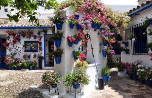 La fête des patios à Cordoue