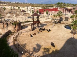 Faire un tour à Terra Natura