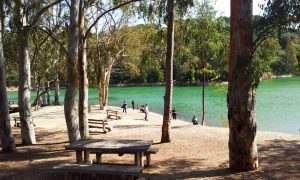 Visiter le lac des tortues