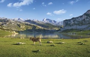 Parc national des Pics Europe Espagne