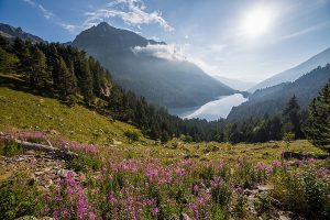 Parc national d’Aigüestortes