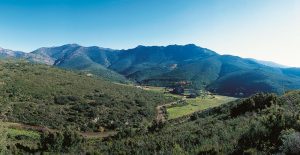 Le parc Naturel de la Serra de l’Albera