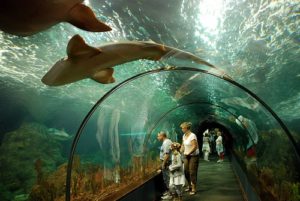 Lanzarote meilleur parcs aquarium espagne