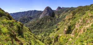 Parc National de Garajonay Îles Canaries