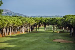 El Saber terrain de golf