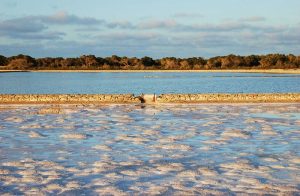 Le parc natural ses salines