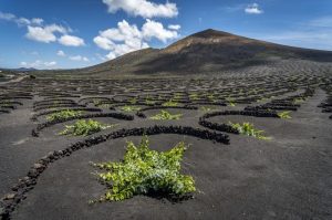 le parc naturel de Timanfaya