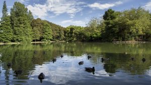 le Parc Isabel la Catolica