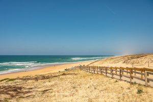 Profiter des belles plages des Landes