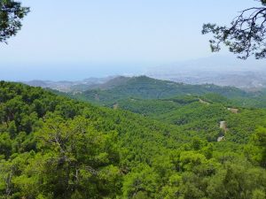 Parc naturel des Montagnes de Malaga