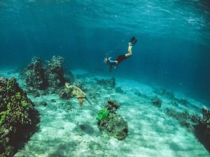 la plongée sous-marine et snorkeling la Réunion