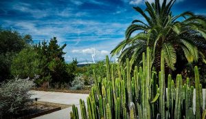 Jardin botanique de Barcelone