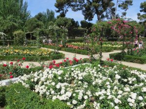 Jardin de la Rosaleda