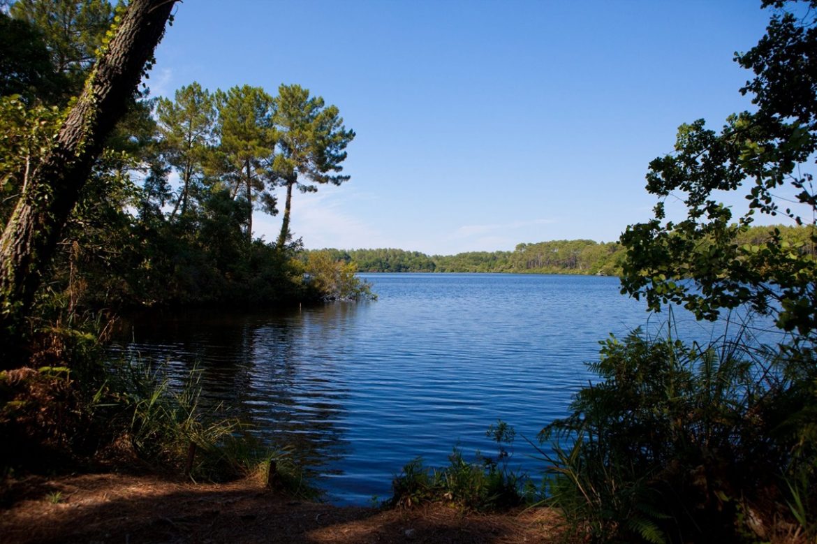 Vacances en Plein Air à Messanges