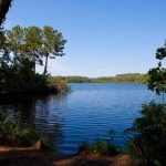 Guide Complet pour des Vacances en Plein Air à Messanges
