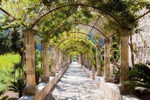 les jardins de la Chartreuse