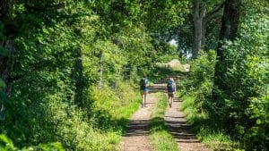 la Route du Chemin de Saint-Jacques