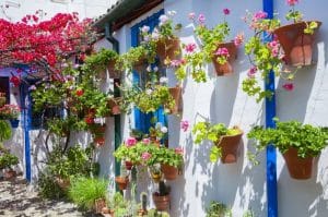 Visiter les Patios de cordoue