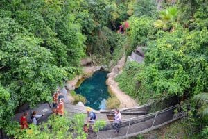 Jungle Park