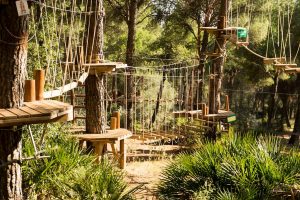 Parque de Aventuras en los Árboles