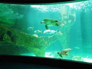 Zoo Aquarium