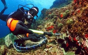sous-marins des Calanques À Marseille