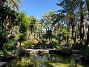 Jardin El Huerto del Cura d’Elche